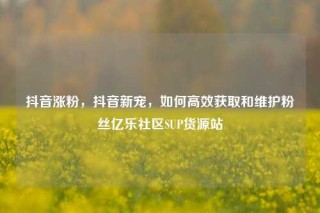 抖音涨粉,抖音新宠,如何高效获取和维护粉丝亿乐社区SUP货源站