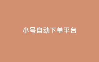 ks小号自动下单平台 - KS小号自动下单平台,一键畅享便捷购物体验!