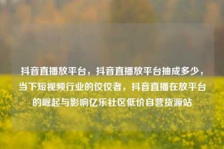 抖音直播放平台，抖音直播放平台抽成多少，当下短视频行业的佼佼者，抖音直播在放平台的崛起与影响亿乐社区低价自营货源站