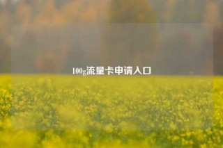 100g流量卡申请入口