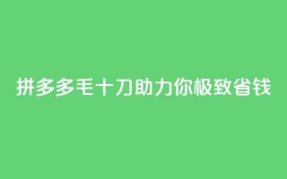 拼多多1毛十刀助力你,极致省钱!