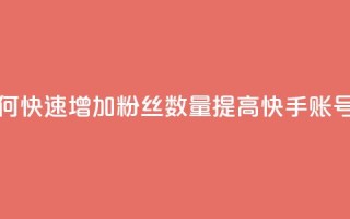 1元3000粉丝快手不掉粉 - 如何快速增加粉丝数量,提高快手账号的粉丝稳定性~