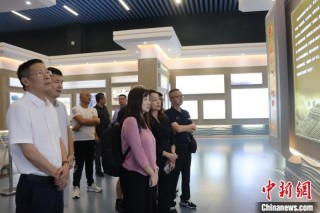 海外人才宁德行:山水有相逢 来日皆可期