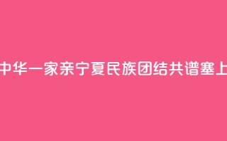 【铸牢共同体 中华一家亲】宁夏:民族团结 共谱塞上江南新篇章