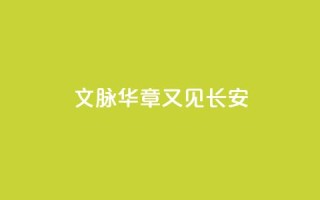 文脉华章|又见长安