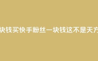 快手买站一块钱1000 - 买快手粉丝一块钱1000,这不是天方夜谭。
