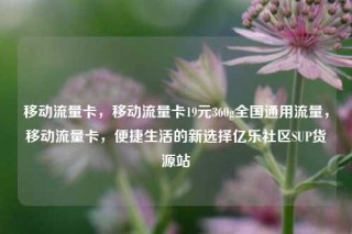 移动流量卡，移动流量卡19元360g全国通用流量，移动流量卡，便捷生活的新选择亿乐社区SUP货源站
