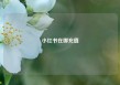 小红书在哪充值