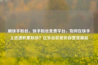 刷快手粉丝，快手粉丝免费平台，如何在快手上迅速积累粉丝？亿乐社区低价自营货源站