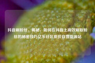 抖音刷粉丝,揭秘,如何在抖音上高效刷取粉丝的秘密技巧亿乐社区低价自营货源站
