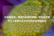 抖音刷粉丝,揭秘抖音刷粉秘籍,如何高效提升个人影响力亿乐社区低价自营货源站