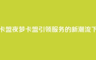 夜梦卡盟 - 夜梦卡盟:引领SEO服务的新潮流~