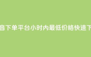 抖音下单平台,24小时内最低价格快速下单