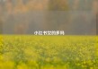 小红书女的多吗