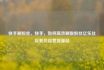 快手刷粉丝，快手，如何高效刷取粉丝亿乐社区低价自营货源站