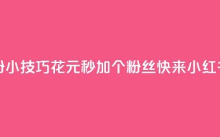 1元小红书秒刷1000粉 - 小技巧:花1元秒加1000个粉丝!快来小红书体验吧!~
