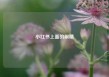 小红书上面的眼睛