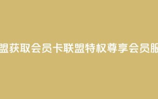 刷vip会员卡盟 - 获取VIP会员卡联盟特权,尊享会员服务!
