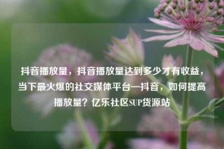 抖音播放量,抖音播放量达到多少才有收益,当下最火爆的社交媒体平台—抖音,如何提高播放量?亿乐社区SUP货源站
