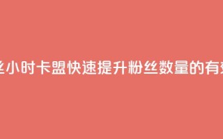 24小时卡盟粉丝 - 24小时卡盟:快速提升粉丝数量的有效策略。