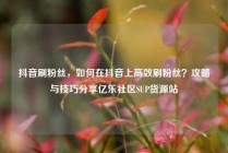抖音刷粉丝，如何在抖音上高效刷粉丝？攻略与技巧分享亿乐社区SUP货源站