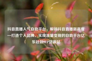 抖音直播人气自助平台，解锁抖音直播新高度—打造个人品牌，实现流量变现的自助平台亿乐社区SUP货源站