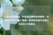 抖音涨流量网站，抖音涨流量网站有哪些，抖音平台优化与推广策略，如何有效提升流量亿乐社区SUP货源站