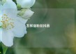 怎样涨粉丝抖音