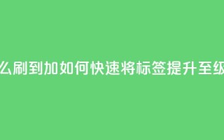 qq标签怎么刷到99加 - 如何快速将QQ标签提升至99级~