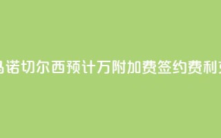 罗马诺:切尔西预计3400万+附加费签约费利克斯