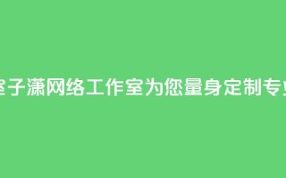 子潇网络工作室 - 子潇网络工作室:为您量身定制专业的SEO服务~