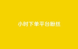 dy24小时下单平台粉丝