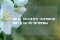 小红书刷粉丝，如何在小红书上快速提升粉丝数量？亿乐社区低价自营货源站