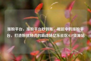 涨粉平台，涨粉平台秒到账，崛起中的涨粉平台，打造粉丝经济的新战场亿乐社区SUP货源站