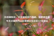 抖音刷粉丝,抖音刷粉技巧揭秘,快速提升账号关注量的方法和策略亿乐社区SUP货源站