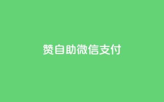 Ks赞自助微信支付,快手免费刷欢击软件 - 小红书24自助平台 - 粉丝交易平台哪里有