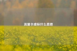流量卡虚标什么意思