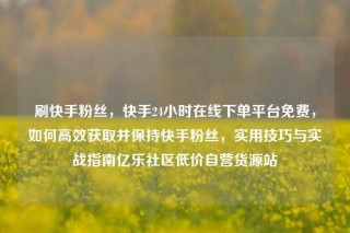 刷快手粉丝，快手24小时在线下单平台免费，如何高效获取并保持快手粉丝，实用技巧与实战指南亿乐社区低价自营货源站