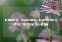 抖音刷粉丝，抖音刷粉秘籍，打造百万级粉丝的秘密攻略亿乐社区SUP货源站
