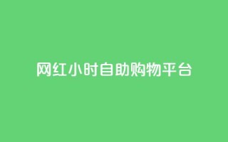 网红24小时自助购物平台 - 24小时网红自助购物平台:随时满足你的购物热情~