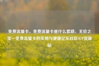 免费流量卡，免费流量卡是什么套路，无价之宝—免费流量卡的实用与便捷亿乐社区SUP货源站