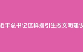 金句|习近平总书记这样指引生态文明建设