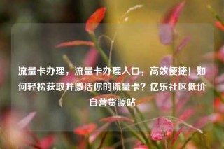 流量卡办理，流量卡办理入口，高效便捷！如何轻松获取并激活你的流量卡？亿乐社区低价自营货源站