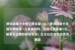 移动流量卡全国无限流量19元,移动流量卡全国无限流量19元是真的吗,全国无限流量19元,畅享无边界的移动生活!亿乐社区低价自营货源站