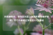 抖音刷粉丝，如何在抖音上高效积累并维护粉丝，技巧与策略亿乐社区SUP货源站