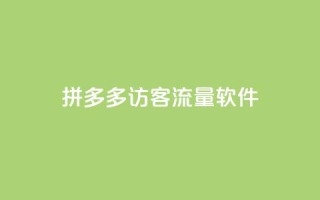 拼多多访客流量软件 - 拼多多流量增加神器,提升访客量~