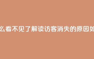qq访客怎么看不见了(解读QQ访客消失的原因,如何解决)
