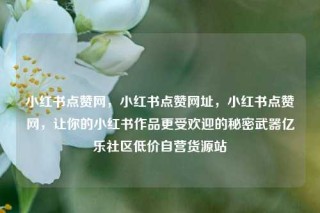 小红书点赞网，小红书点赞网址，小红书点赞网，让你的小红书作品更受欢迎的秘密武器亿乐社区低价自营货源站