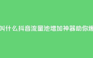 抖音涨流量池的软件叫什么 - 抖音流量池增加神器,助你爆红扩展影响力~