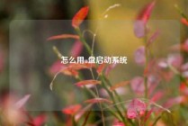怎么用u盘启动系统
